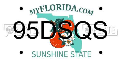 95DSQS Florida License Plate