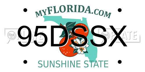 95DSSX Florida License Plate