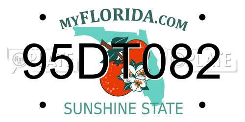 95DT082 Florida License Plate