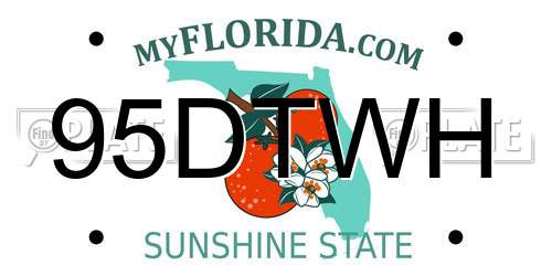 95DTWH Florida License Plate