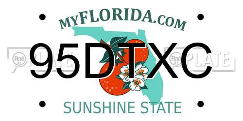 95DTXC Florida License Plate