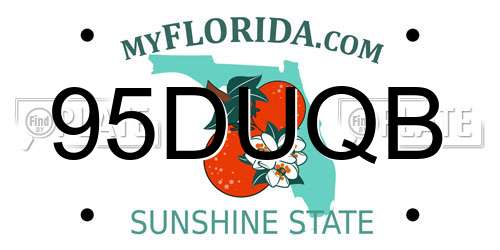 95DUQB Florida License Plate