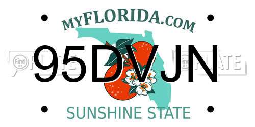 95DVJN Florida License Plate
