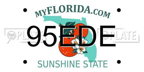 95EDE Florida License Plate