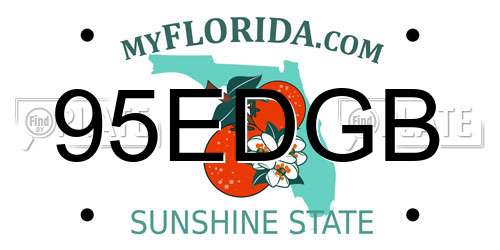 95EDGB Florida License Plate