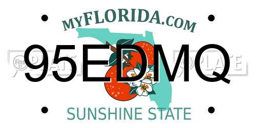 95EDMQ Florida License Plate