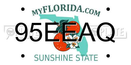 95EEAQ Florida License Plate