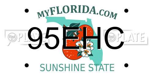 95EHC Florida License Plate