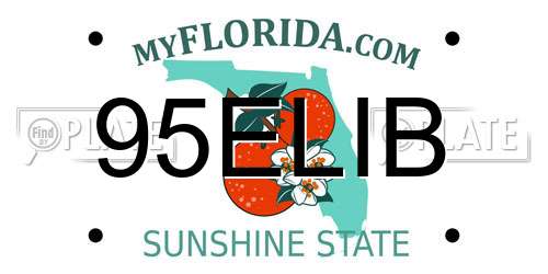 95ELIB Florida License Plate