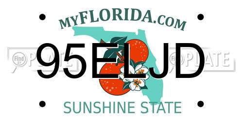 95ELJD Florida License Plate