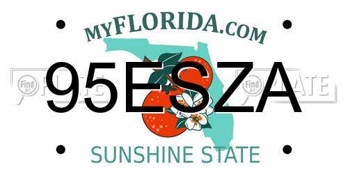 95ESZA Florida License Plate