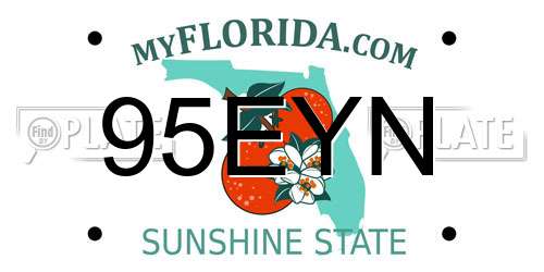 95EYN Florida License Plate