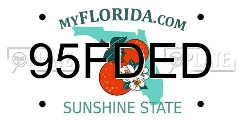 95FDED Florida License Plate