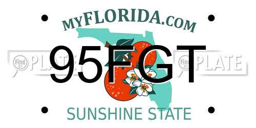 95FGT Florida License Plate