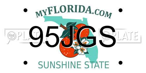 95JGS Florida License Plate