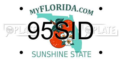 95SID Florida License Plate