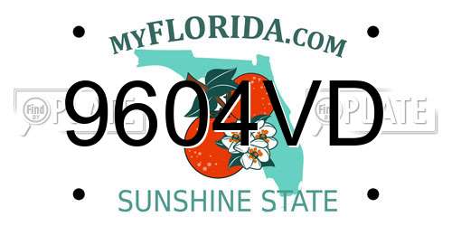 9604VD Florida License Plate