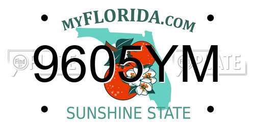 9605YM Florida License Plate
