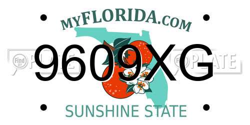 9609XG Florida License Plate