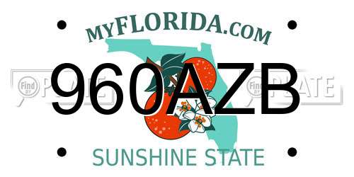 960AZB Florida License Plate