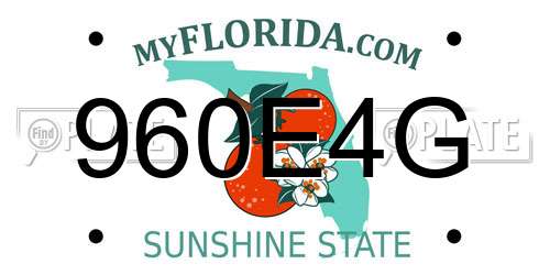 960E4G Florida License Plate