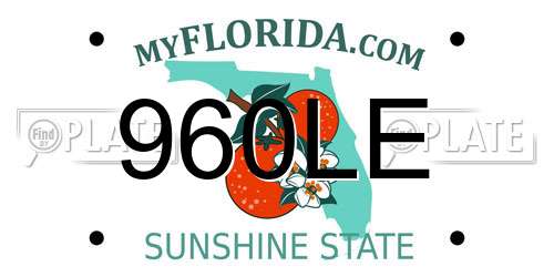 960LE Florida License Plate