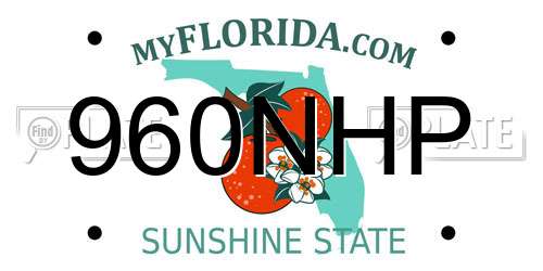 960NHP Florida License Plate