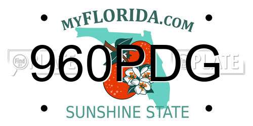 960PDG Florida License Plate