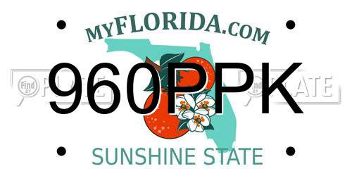 960PPK Florida License Plate