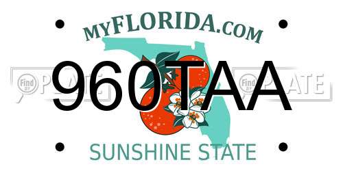 960TAA Florida License Plate