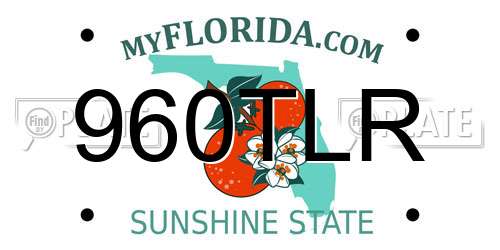 960TLR Florida License Plate