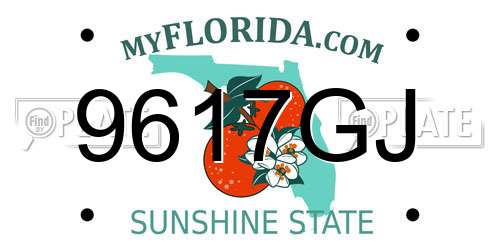9617GJ Florida License Plate