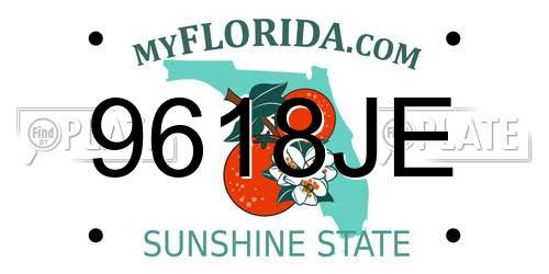 9618JE Florida License Plate