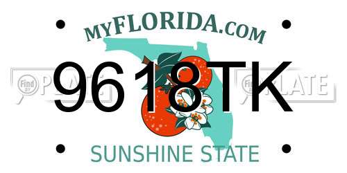9618TK Florida License Plate