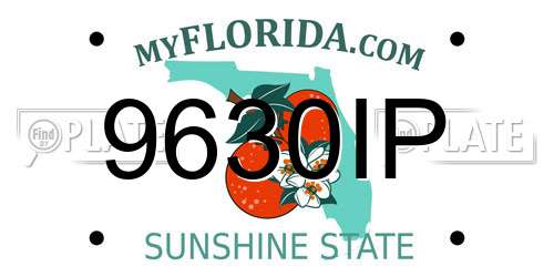 9630IP Florida License Plate