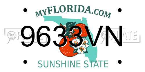 9633VN Florida License Plate