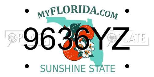 9636YZ Florida License Plate