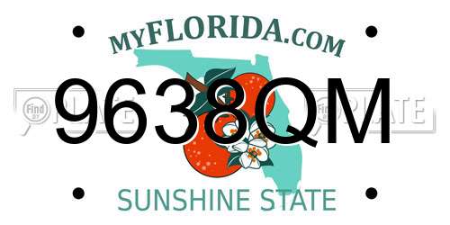 9638QM Florida License Plate
