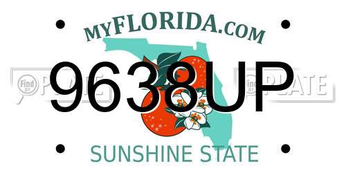 9638UP Florida License Plate