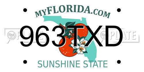 963TXD Florida License Plate