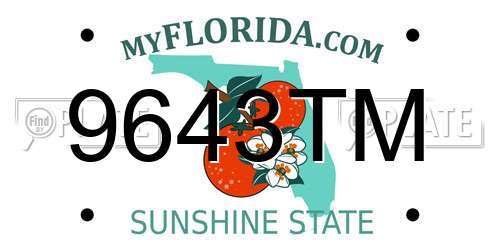 9643TM Florida License Plate