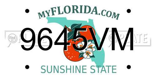 9645VM Florida License Plate