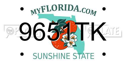 9651TK Florida License Plate