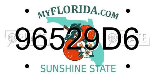 96529D6 Florida License Plate