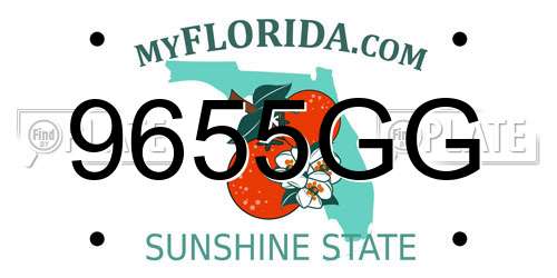 9655GG Florida License Plate