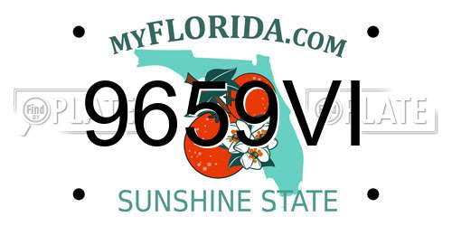 9659VI Florida License Plate