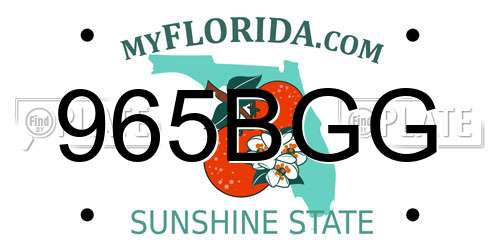 965BGG Florida License Plate