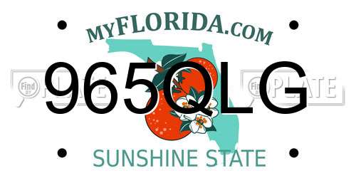 965QLG Florida License Plate