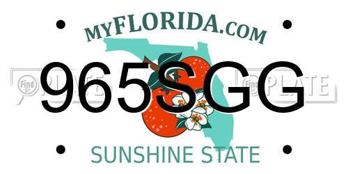 965SGG Florida License Plate