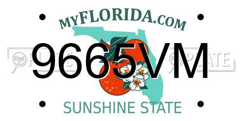 9665VM Florida License Plate